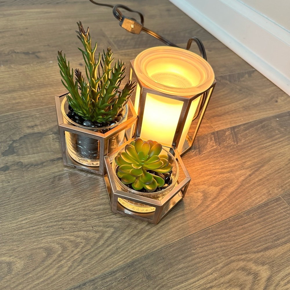 Wild Desert Scentsy Warmer - Picture 4 of 7
